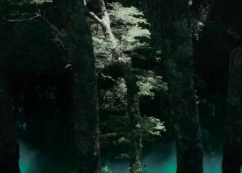 Abrir nuevos mundos en el horizonte