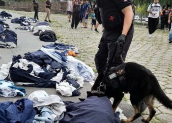 Incautaron marihuana y cocaína durante el despliegue conjunto de fuerzas de seguridad.