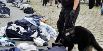 Incautaron marihuana y cocaína durante el despliegue conjunto de fuerzas de seguridad.