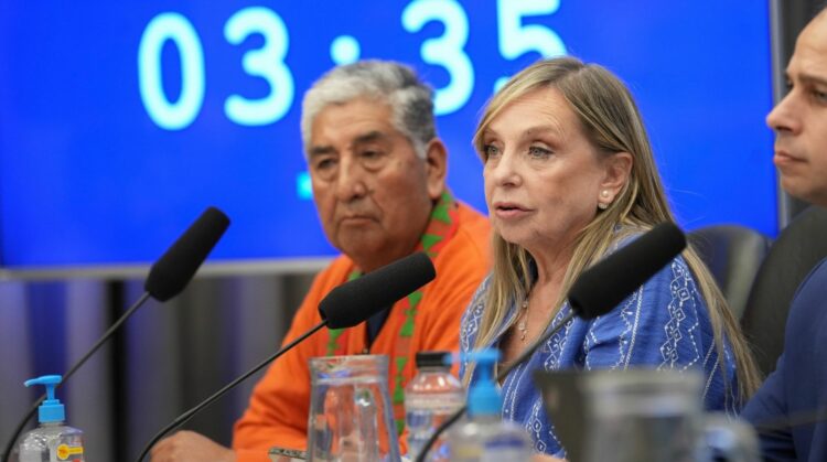 El oficialismo va por un dictamen exprés en Diputados por la ley de glaciares