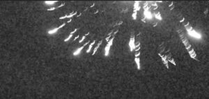 BAFICI 2026: este año presentará más de 300 películas entre títulos nacionales e internacionales BAFICI 2026: este año presentará más de 300 películas entre títulos nacionales e internacionales