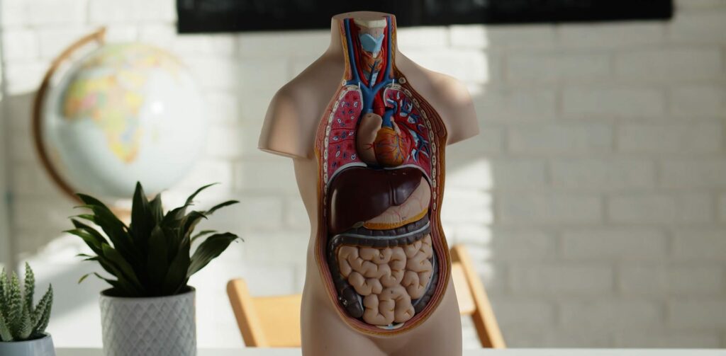 La UNC impulsa la donación de cuerpos para la formación de futuros médicos unc