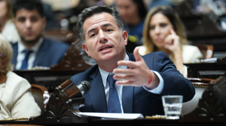 Gabriel Bornoroni. Foto: Prensa Diputados.