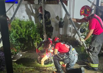 Rescataron a una octogenaria que cayó a un pozo ciego