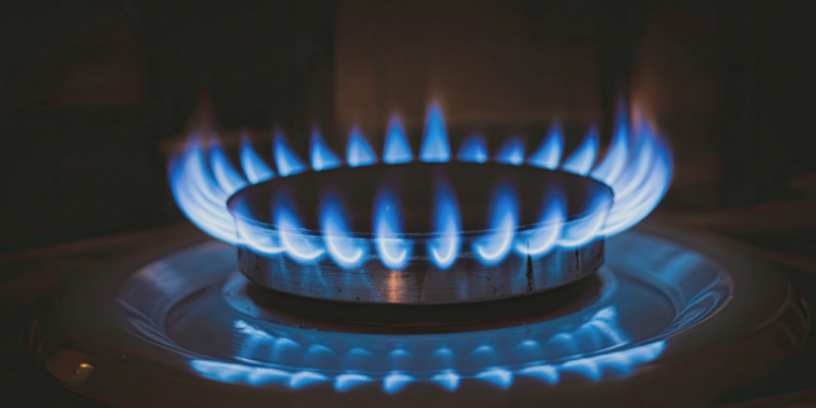 El transporte y la energía eléctrica son los servicios que más impacto tienen en la canasta de servicios públicos de una familia tipo.