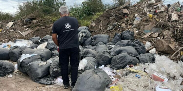 Clausuraron una droguería por el arrojo ilegal de 58 bolsas de residuos También se constató que la firma no estaba inscripta como gran generadora de residuos.
