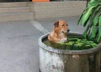 Córdoba atraviesa una jornada calurosa con nubosidad variable y tormentas hacia la noche