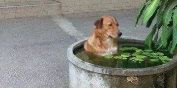 Córdoba atraviesa una jornada calurosa con nubosidad variable y tormentas hacia la noche