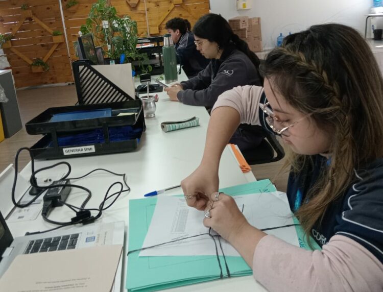 Maitena trabajando en IVECO.