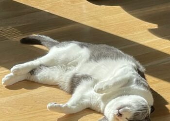 Jornada fresca, soleada y sin lluvias este martes Jornada fresca, soleada y sin lluvias este martes