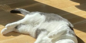 Jornada fresca, soleada y sin lluvias este martes Jornada fresca, soleada y sin lluvias este martes