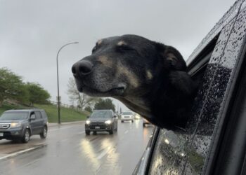 Cielo cubierto y temperaturas moderadas marcan la jornada de este miércoles en Córdoba