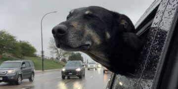 Cielo cubierto y temperaturas moderadas marcan la jornada de este miércoles en Córdoba Cielo cubierto y temperaturas moderadas marcan la jornada de este miércoles en Córdoba