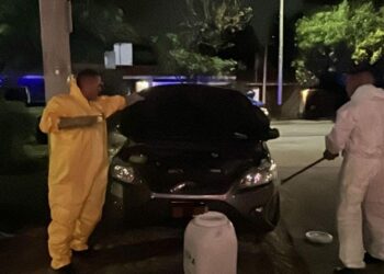 Rescatan y liberan a un zorrino que se había ocultado en un auto en Villa Belgrano