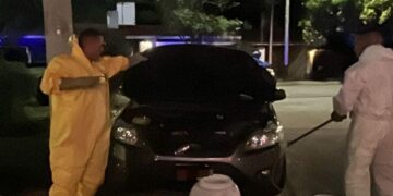 Rescatan y liberan a un zorrino que se había ocultado en un auto en Villa Belgrano