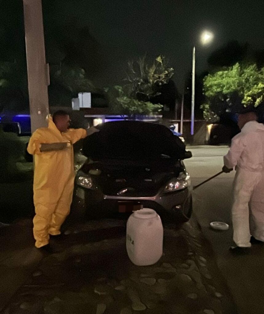 Rescatan y liberan a un zorrino que se había ocultado en un auto en Villa Belgrano