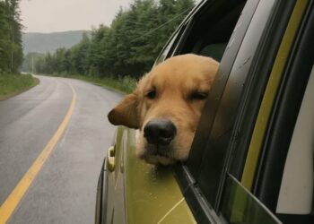 Cielo mayormente cubierto y leve ascenso de temperatura en Córdoba