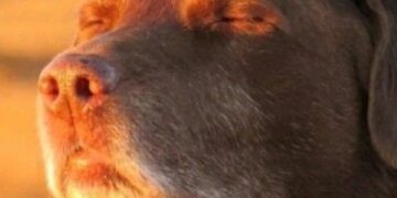 Córdoba tendrá una jornada estable y soleada, con temperaturas agradables