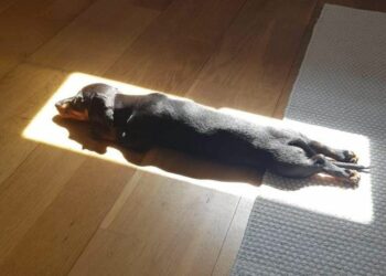 Córdoba tendrá una jornada estable, con sol y temperaturas agradables durante la tarde