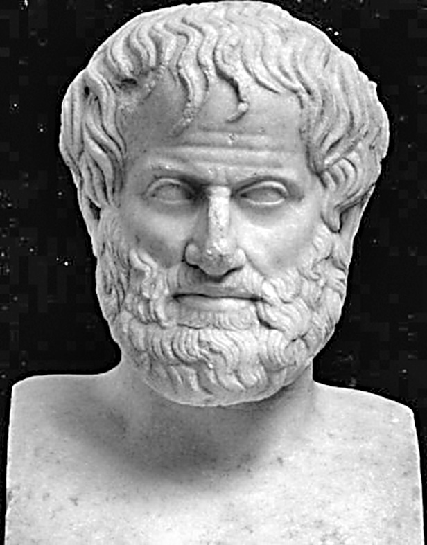 El lado oscuro de la ignorancia Aristóteles.