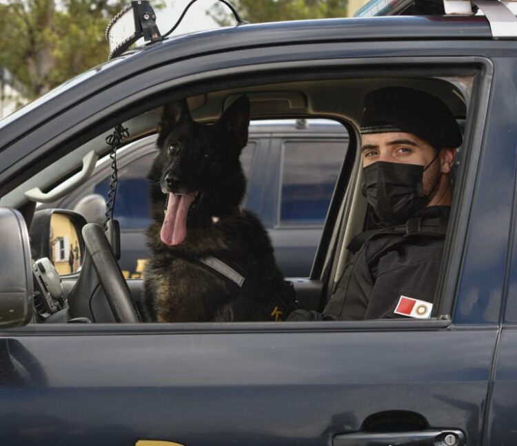 Especializado en la detección de múltiples sustancias ilícitas, inicia su retiro en un hogar familiar.