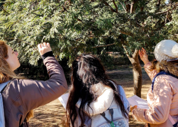 Los cordobeses registraron 99 nuevas especies de plantas y aportan datos a la ciencia