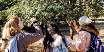 Los cordobeses registraron 99 nuevas especies de plantas y aportan datos a la ciencia