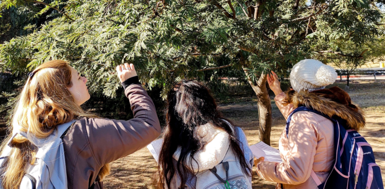 Los datos evidencian el potencial de la ciencia ciudadana para complementar el conocimiento científico.