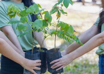El Fondo Juventud y Acción Climática (YCAF) reconoció el trabajo desarrollado en la ciudad a través del programa internacional Innovar por el Clima.