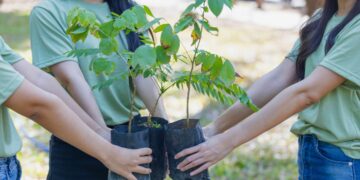 El Fondo Juventud y Acción Climática (YCAF) reconoció el trabajo desarrollado en la ciudad a través del programa internacional Innovar por el Clima.