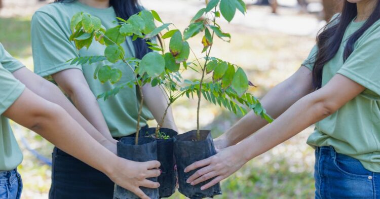 El Fondo Juventud y Acción Climática (YCAF) reconoció el trabajo desarrollado en la ciudad a través del programa internacional Innovar por el Clima.