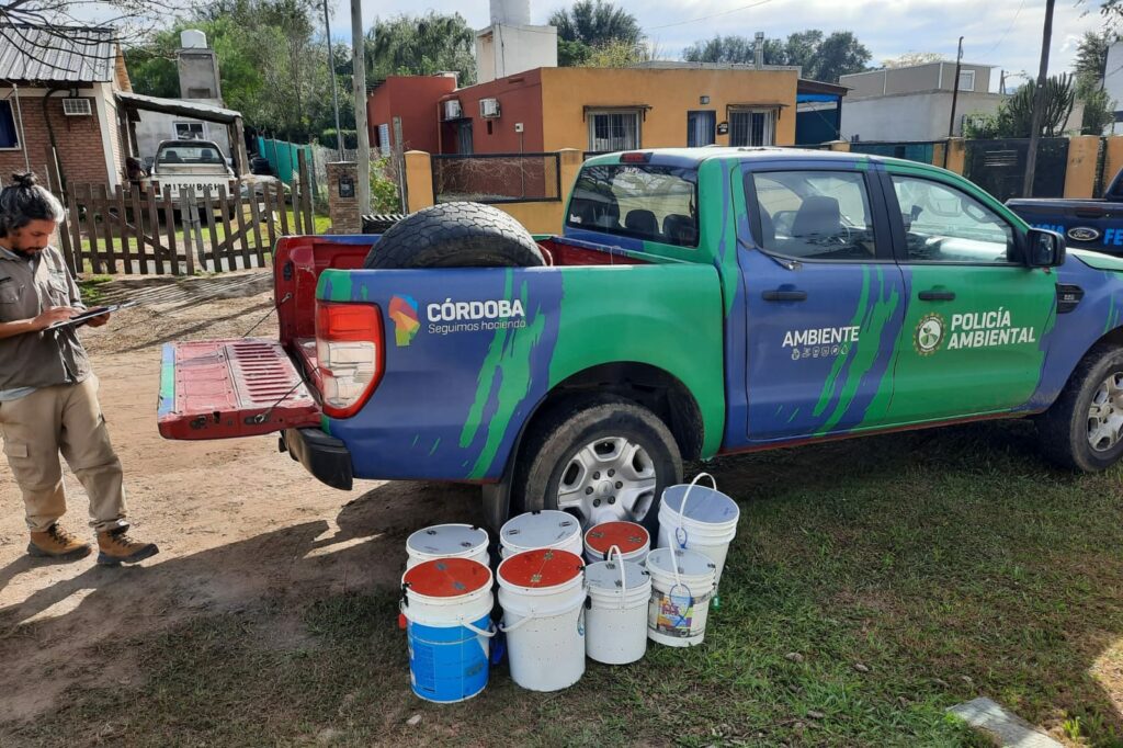 Rescatan cerca de 50 animales silvestres en el interior provincial