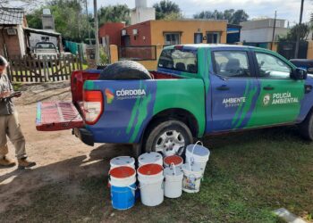 Rescatan cerca de 50 animales silvestres en el interior provincial Rescatan cerca de 50 animales silvestres en el interior provincial