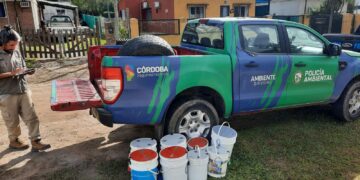 Rescatan cerca de 50 animales silvestres en el interior provincial