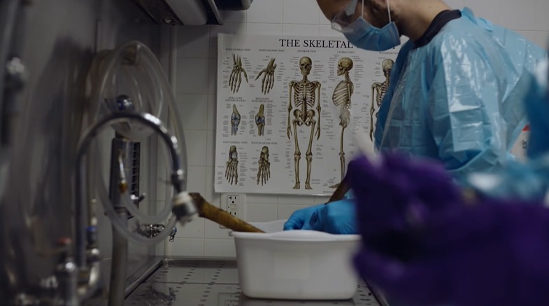 Se estrenó el corto de Bernardo Ruiz sobre desaparecidos y migrantes en la frontera EE.UU.-México