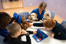 El Día del Animal en Argentina y los beneficios que aporta a nuestra salud tener una mascota