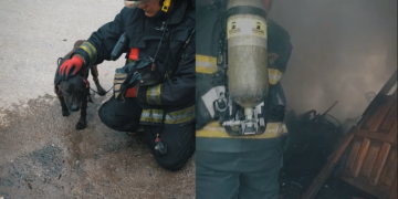 Los bomberos lograron rescatar a un perro que se encontraba con vida, aunque presentaba diversas quemaduras y heridas.