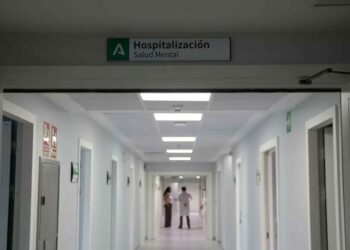 Nueva Ley de Salud Mental: las tensiones por el criterio de riesgo y recursos Nueva Ley de Salud Mental: las tensiones por el criterio de riesgo y recursos