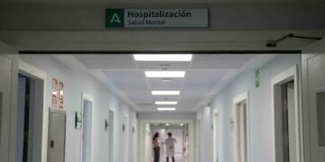 Nueva Ley de Salud Mental: las tensiones por el criterio de riesgo y recursos