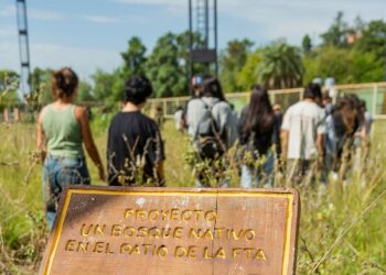 La Universidad Provincial impulsa la innovación productiva con fuerte anclaje regional