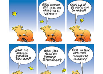 Tutuca 24.04.2026
