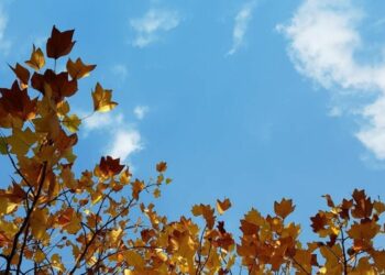 Amanecer frío y tardes más templadas: así estará el tiempo este fin de semana largo