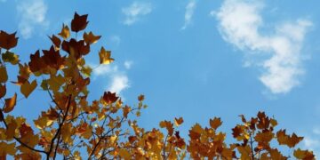 Amanecer frío y tardes más templadas: así estará el tiempo este fin de semana largo