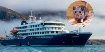 Brote de hantavirus: el aporte de un especialista para la prevención