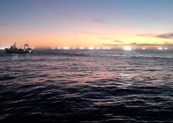 Buques extranjeros pidieron refugio para ingresar a la Zona Económica Exclusiva Argentina.