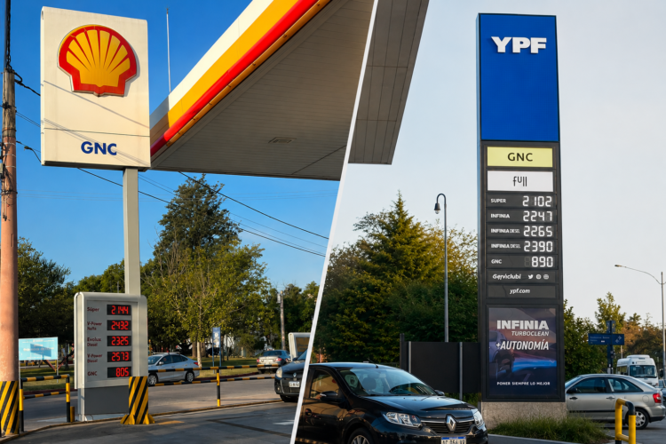 Combustibles
