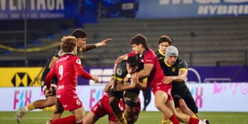 El camino de Dogos XV para asegurar el primer puesto antes de los playoffs