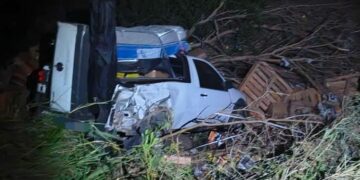 El siniestro ocurrió sobre la Ruta Nacional 9, cerca de Caña Cruz.