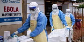 La OMS declaró una emergencia internacional por un brote de ébola en África