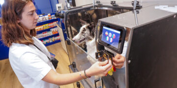 La ozonoterapia gana terreno en tratamientos dermatológicos para perros Ozonoterapia